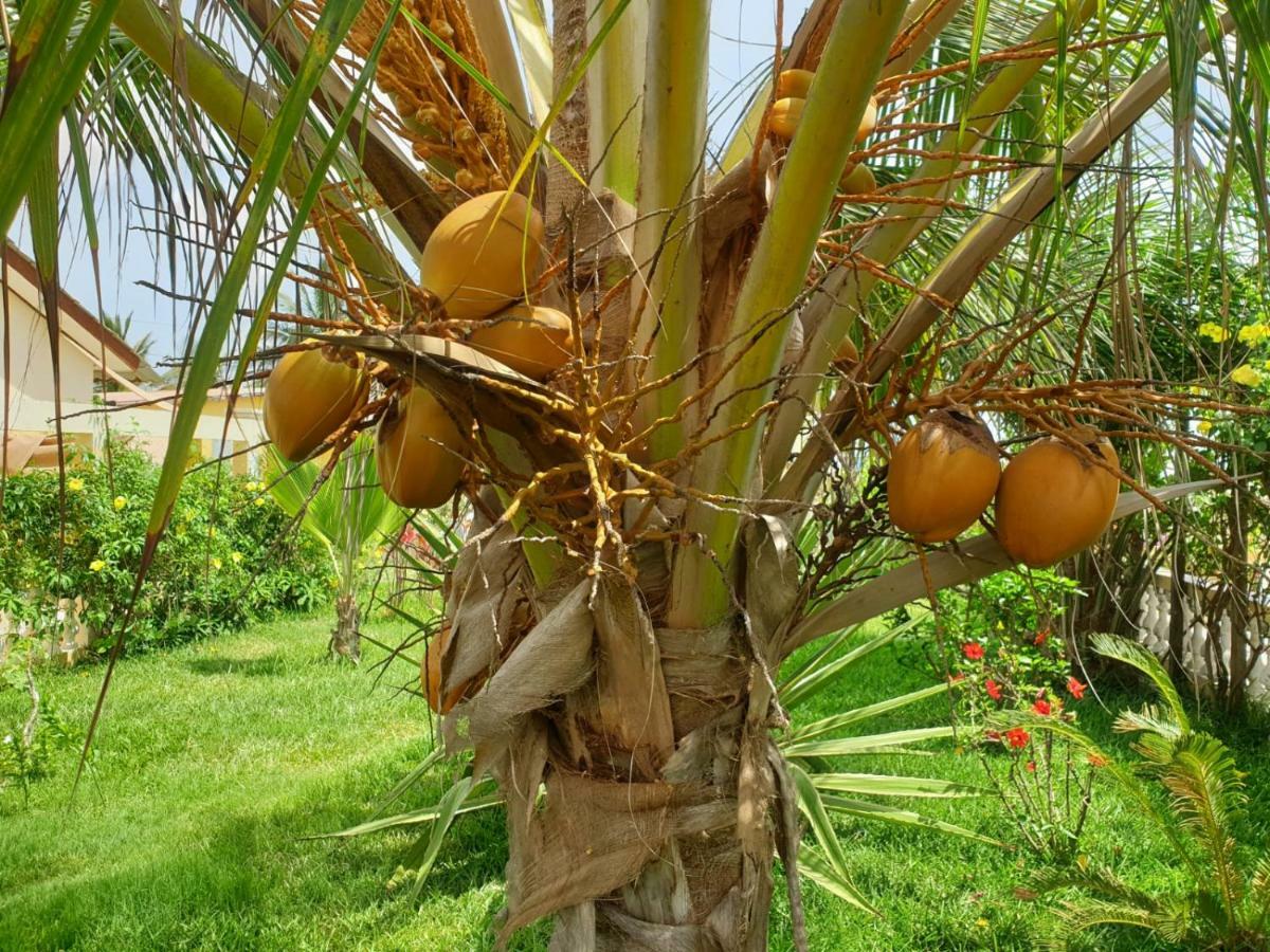 Kunta Kinteh Beach Complex Kotu Buitenkant foto